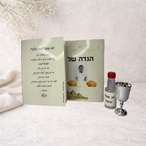 הגדה לילדים - ערכה לפסח